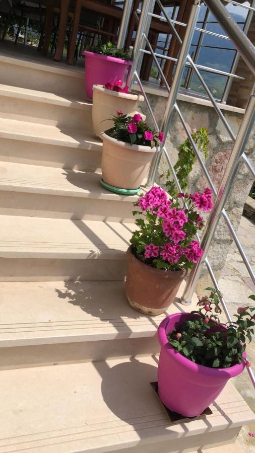Alva Room'S Gjirokastër المظهر الخارجي الصورة